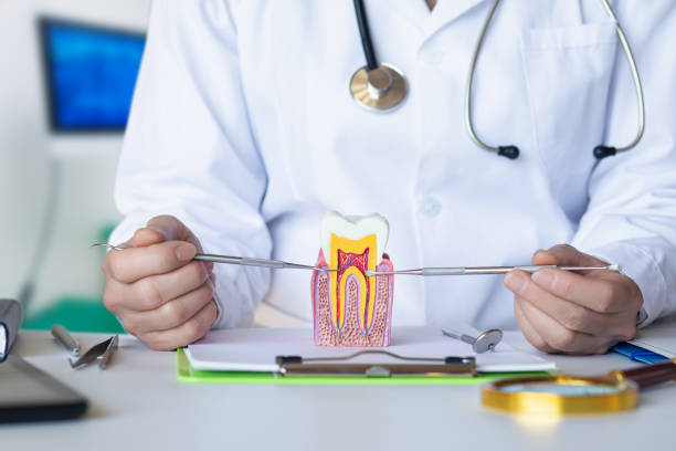 Best Cosmetic Emergency Dentistry in Carthage, TX
